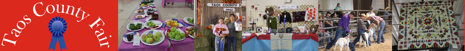taoscountyfair